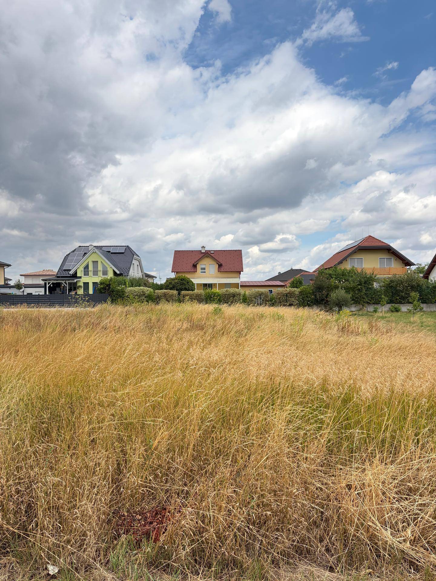 Landschaftsbild mit trockenem Grasfeld und modernen Wohnhäusern am Horizont.