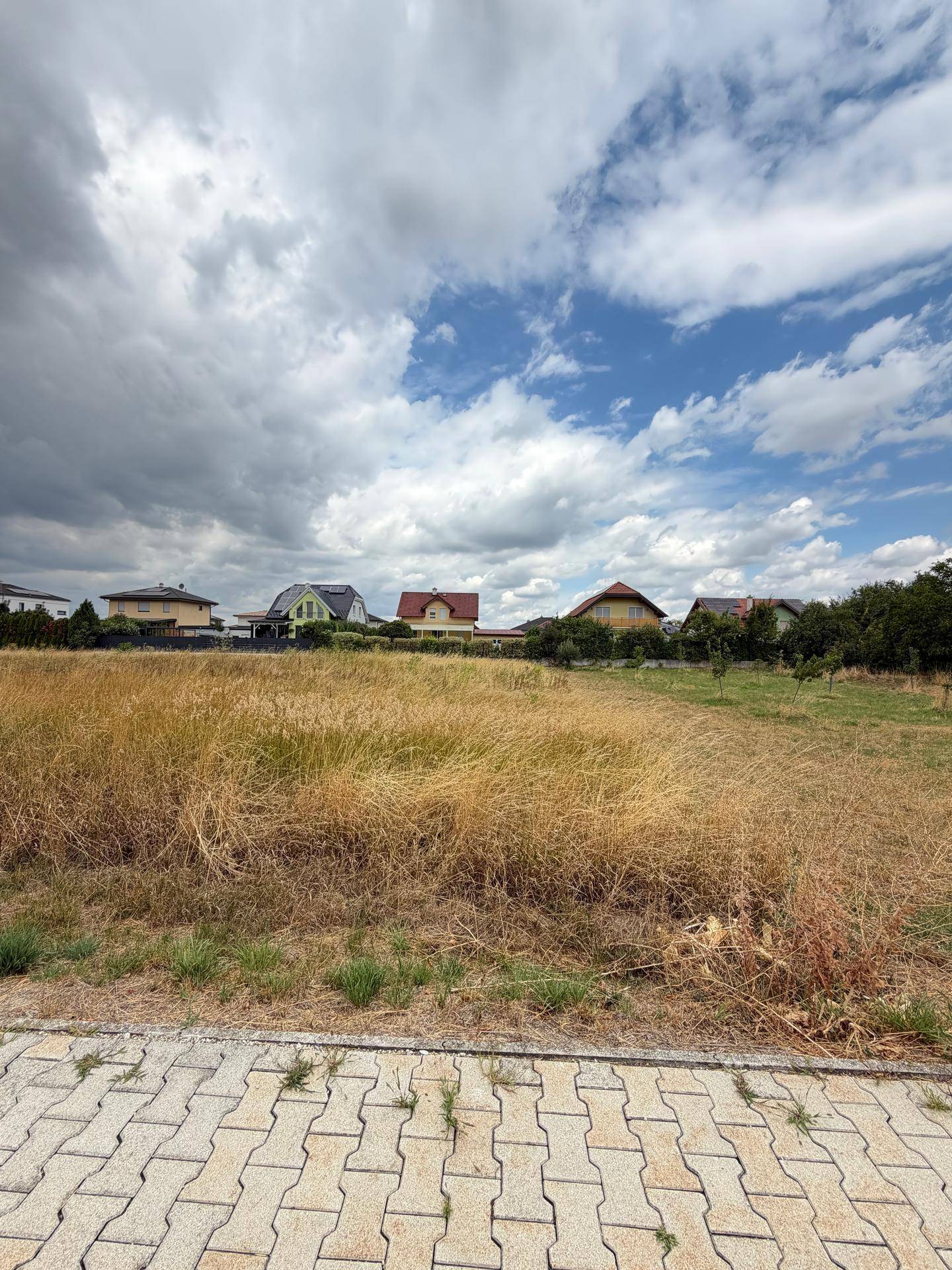 Weitläufiges trockenes Feld mit Wohnhäusern im Hintergrund und gepflastertem Vordergrund.