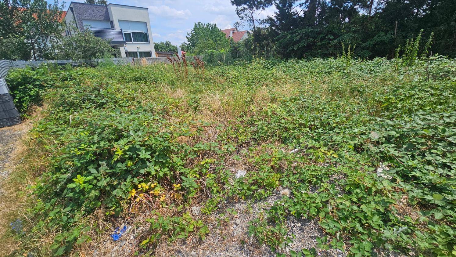Unbebautes Grundstück mit wilder Vegetation, umgeben von Bäumen und Wohnhäusern in der Ferne.