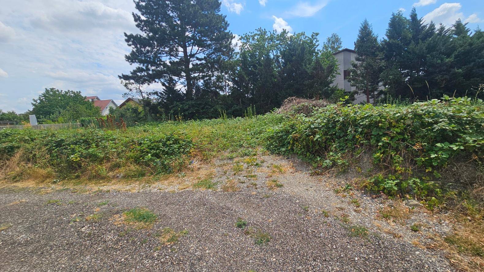 Ungepflegtes Grundstück mit Schotterweg im Vordergrund und dichter Vegetation unter blauem Himmel.