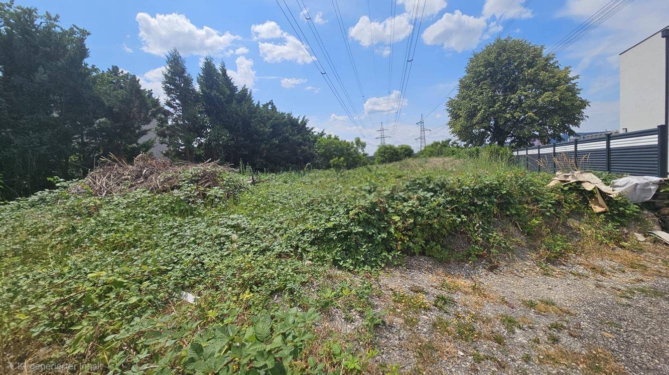 Weitläufiges, unbebautes Grundstück mit üppiger Vegetation und Stromleitungen im Hintergrund.