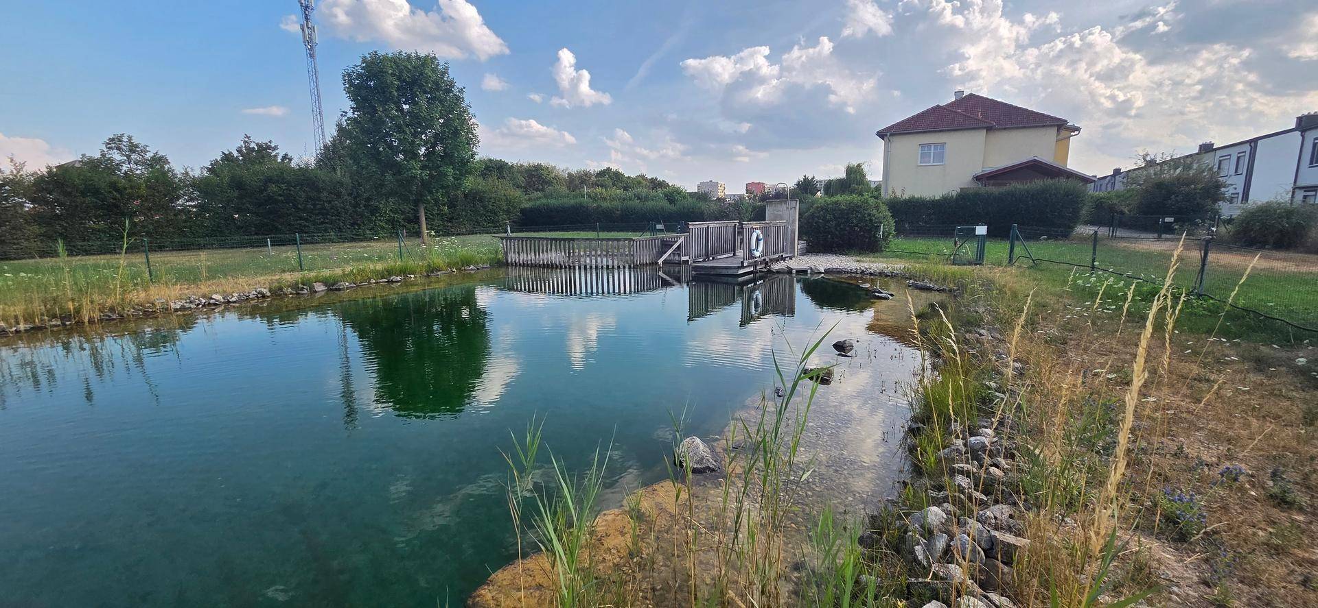 Idyllischer Naturteich mit Holzsteg und üppiger Uferbepflanzung, eingebettet in eine grüne Landschaft.