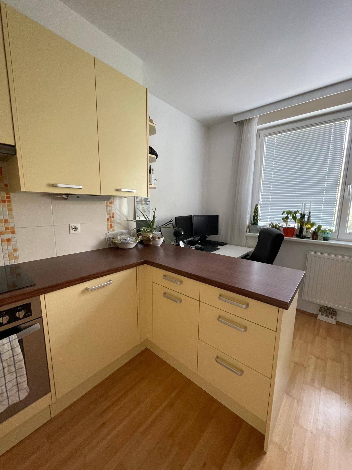 Schöne, zentrale Wohnung für etwa 1 Jahr unterzuvermieten - Ansicht 2