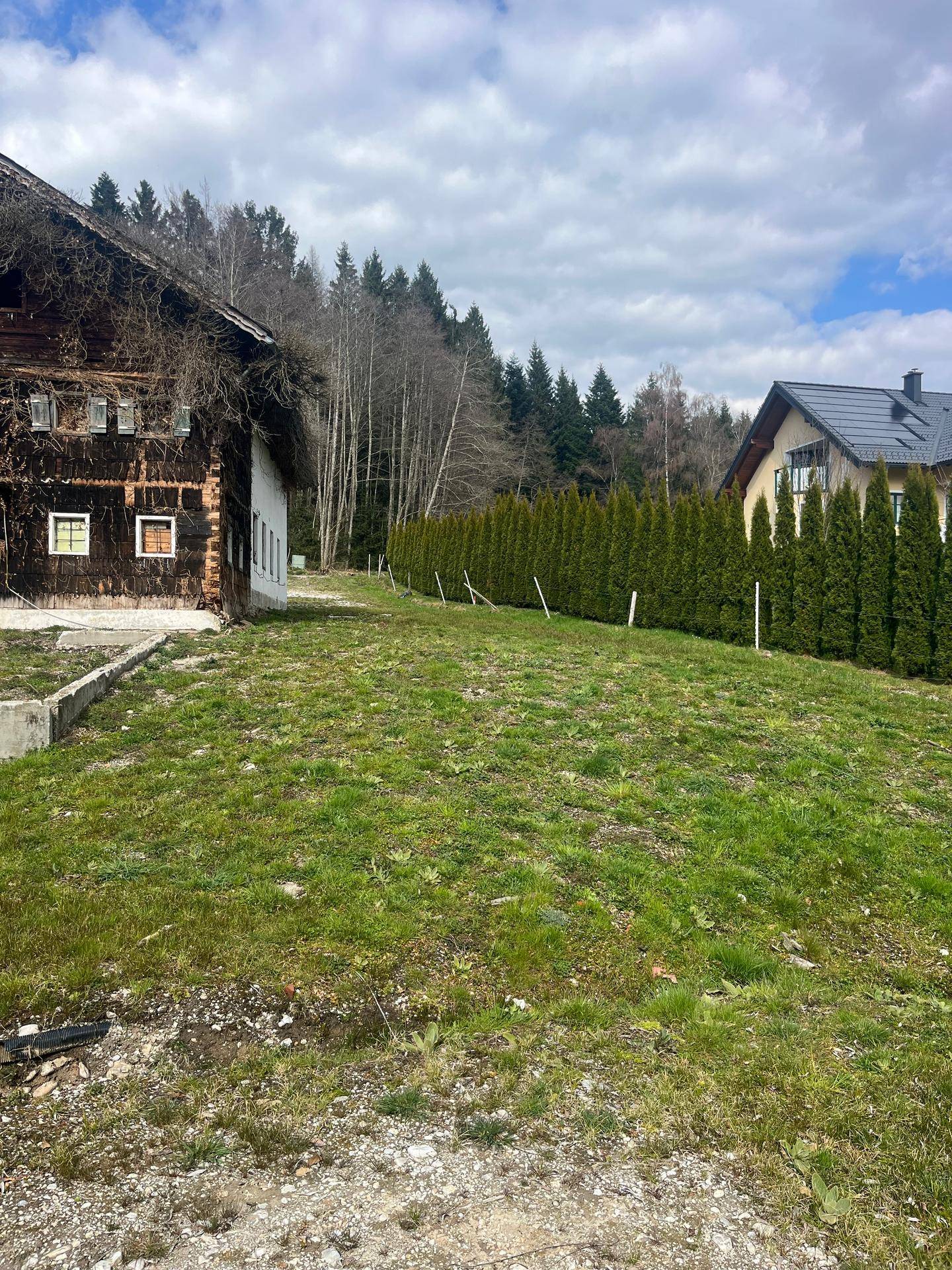 Seitenansicht des Holzhauses mit einer grünen Hecke, die das Grundstück abgrenzt.