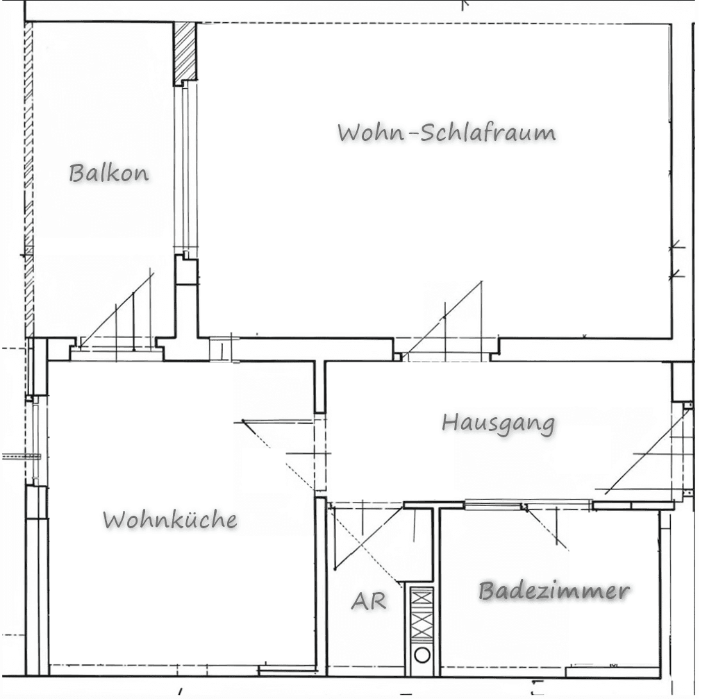 Grundriss einer Wohnung mit Wohn-Schlafzimmer, Wohnküche, Bad und Balkon.