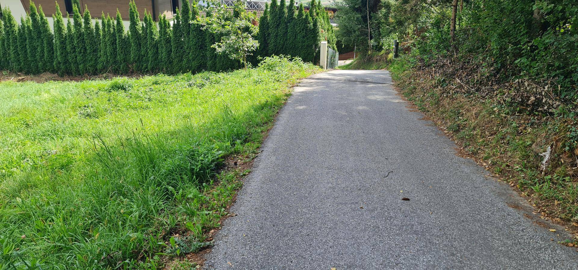 Asphaltierte Zufahrtsstraße neben einer grünen Wiese und einer hohen Hecke.