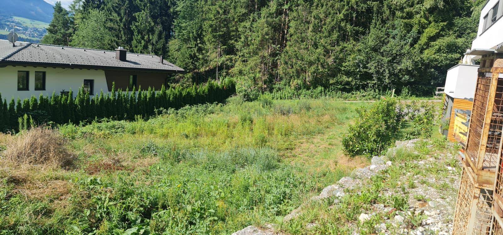 Haus mit großem, naturbelassenem Grundstück und angrenzendem Waldgebiet unter blauem Himmel.