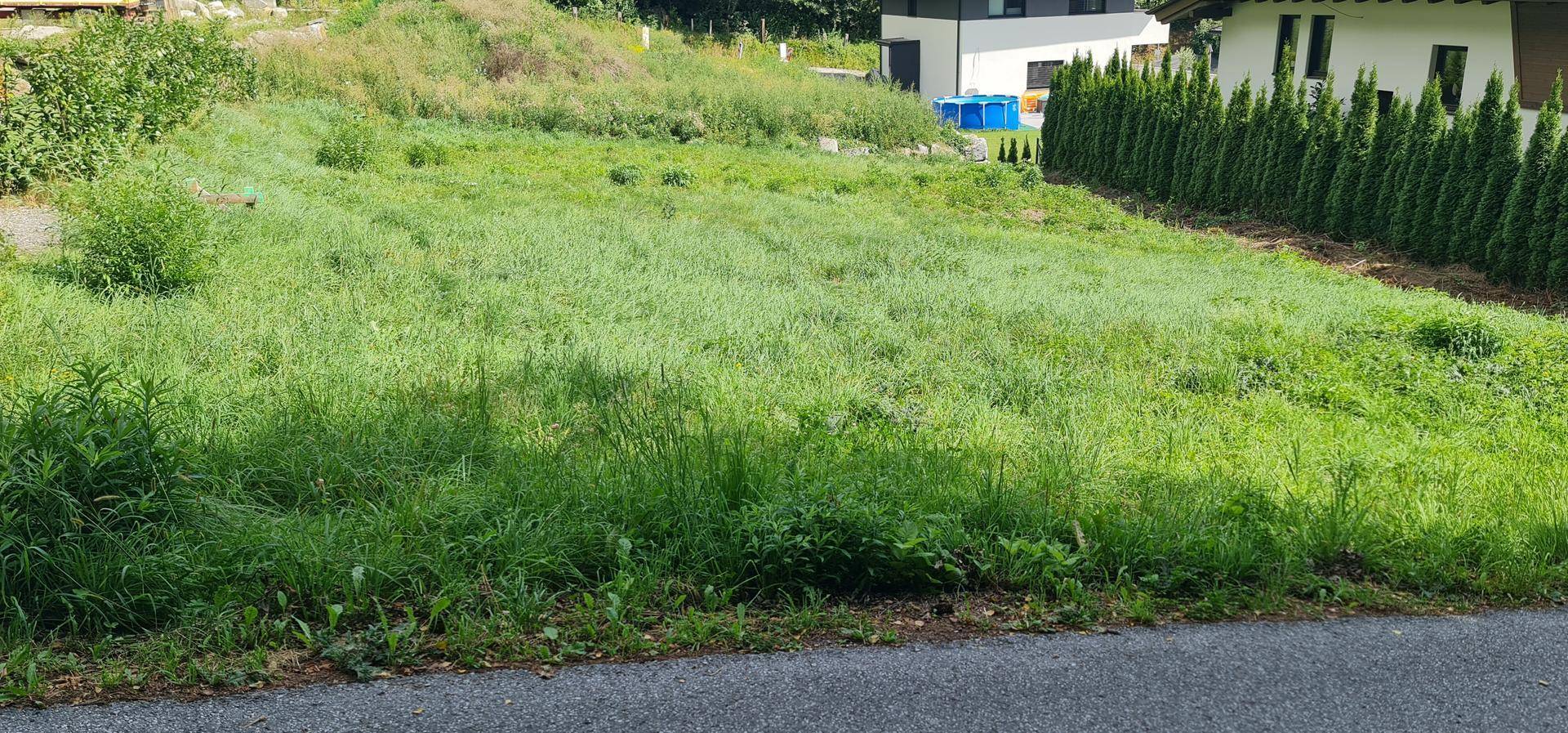 Weitläufige grüne Wiese mit Blick auf moderne Wohnhäuser und eine dichte Hecke.