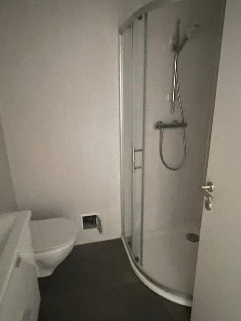 Duschbereich in einem modernen Badezimmer mit Glasabtrennung und dunklem Fliesenboden.