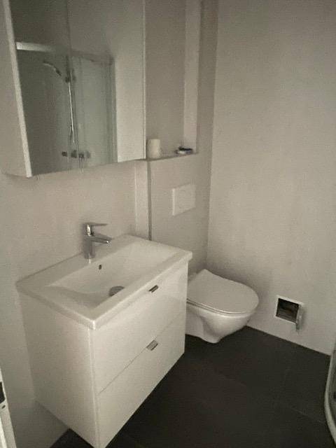 Modernes Badezimmer mit Waschbecken, Unterschrank und Toilette, ausgestattet mit dunklen Fliesen.