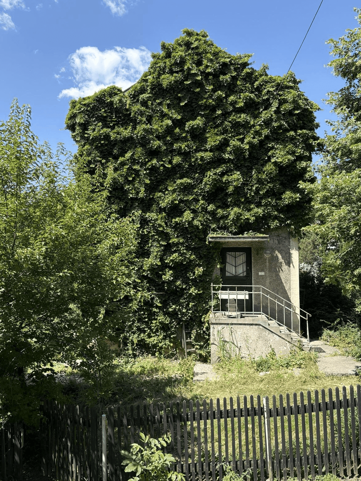 Kleines, von Efeu überwuchertes Gebäude mit Eingangsbereich und Treppe im Grünen.