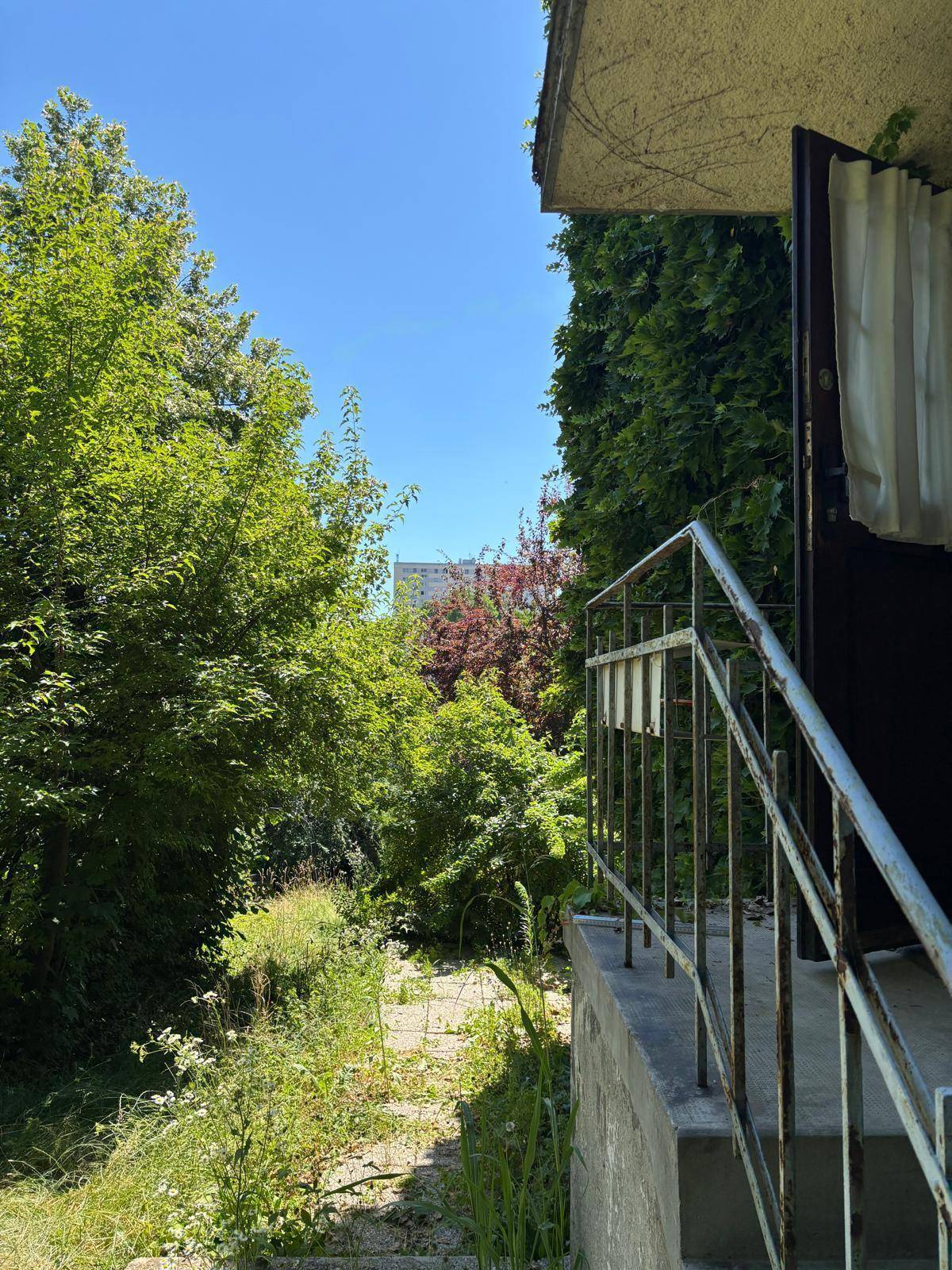 Eingangsbereich mit Treppe, umgeben von üppigem Grün und Bäumen unter blauem Himmel.