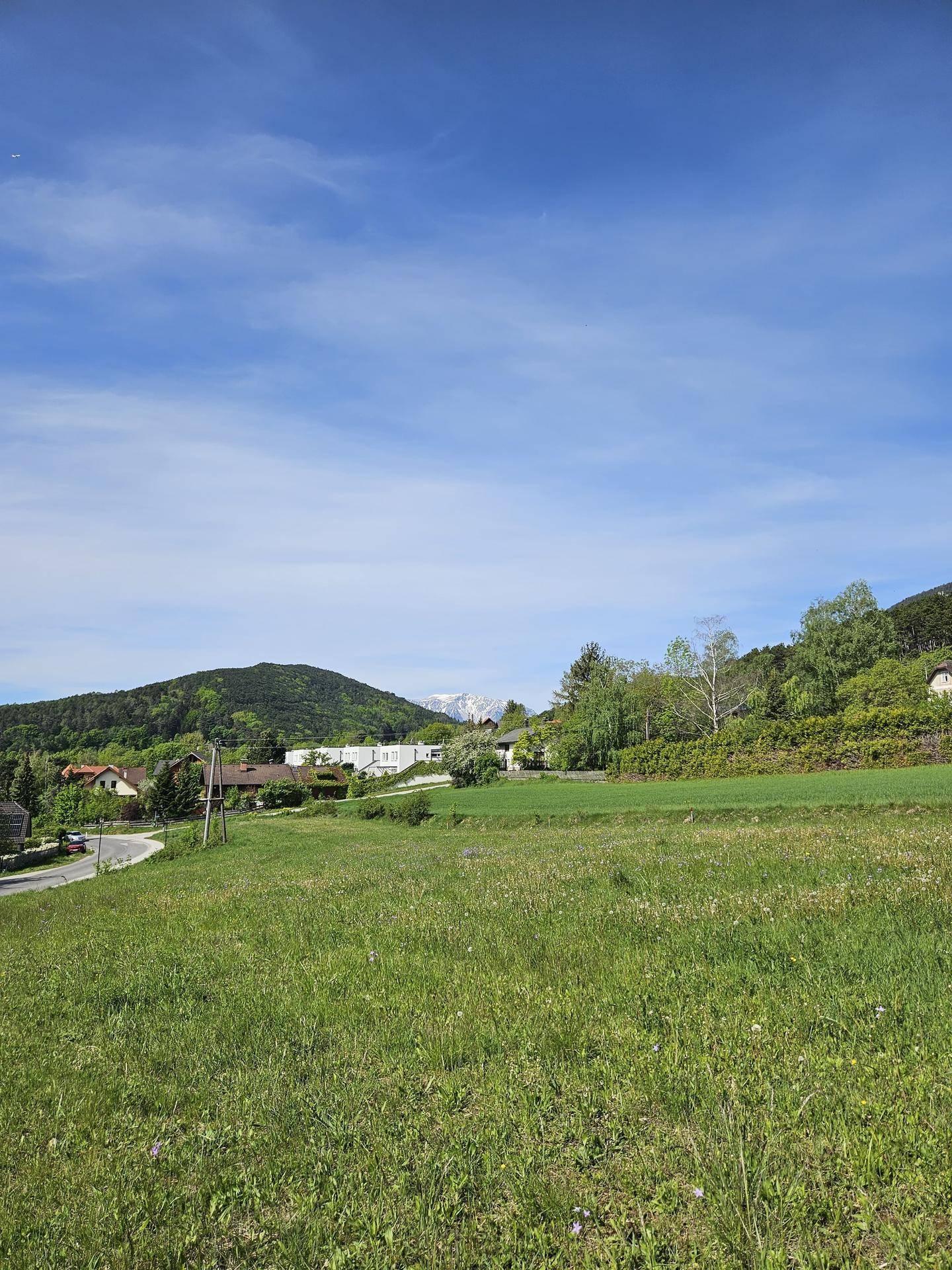 Offene grüne Wiesenlandschaft mit vereinzelten Häusern und Bergen in der Ferne unter klarem Himmel.