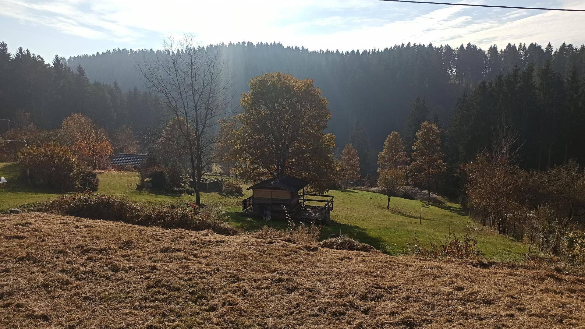 Herbstliche Landschaft mit einem Holzschuppen in einem weitläufigen Gartenbereich und Wald im Hintergrund.