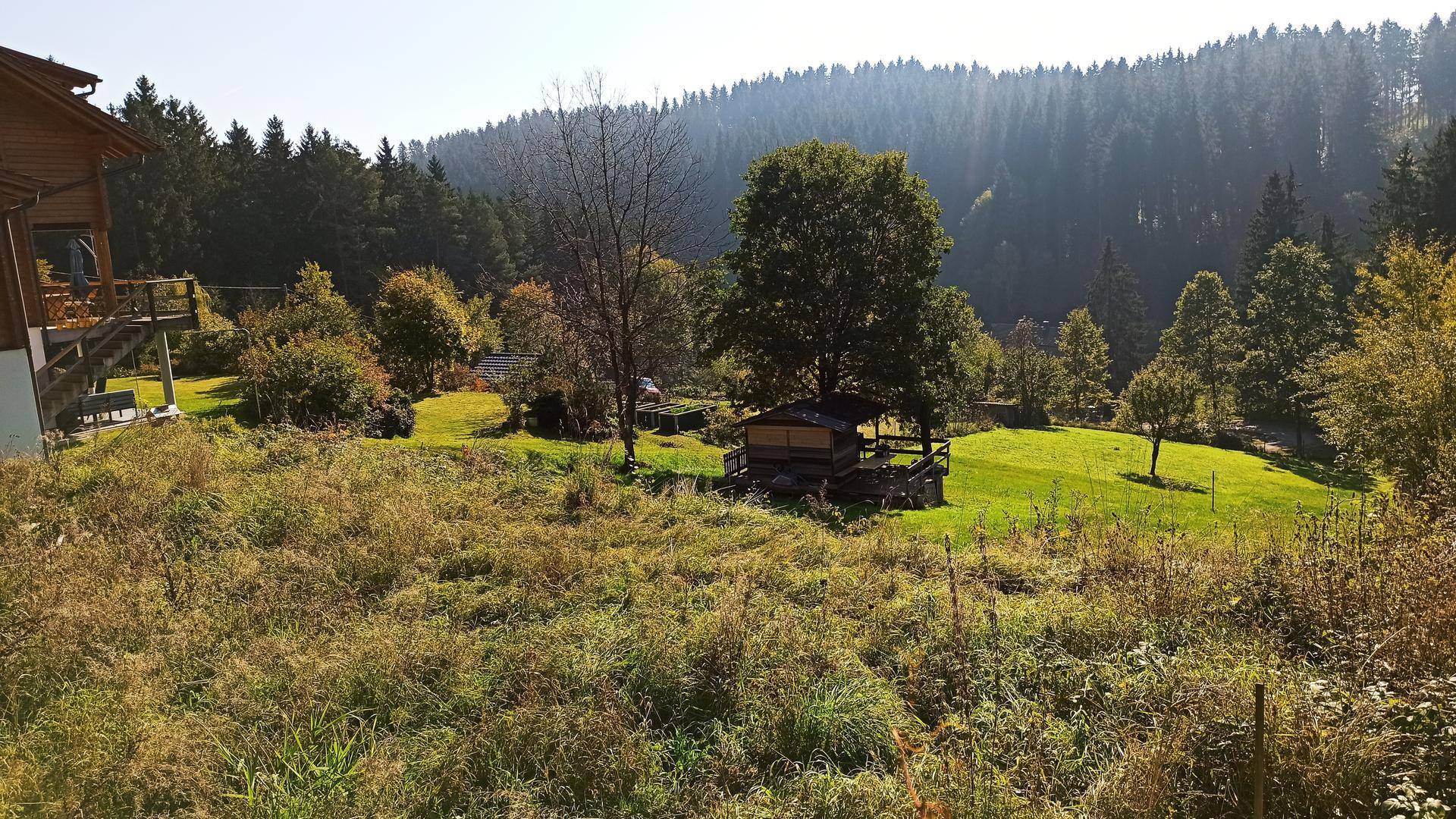 Großer Gartenbereich mit einem Holzschuppen und einem Haus, umgeben von Bäumen und Wald im Herbst.