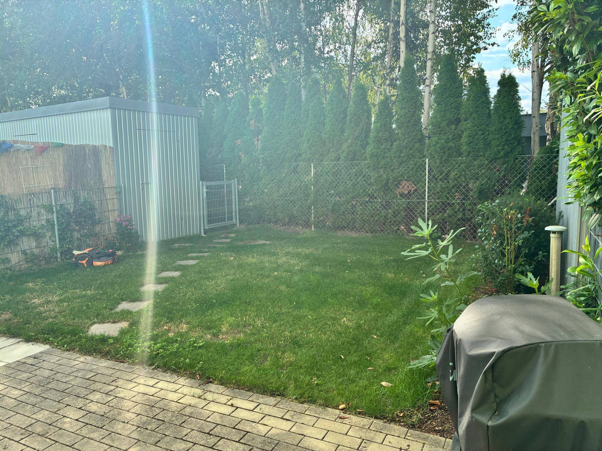 Gepflegter Garten mit Rasenfläche, Gartenhaus und Hecke im Hintergrund.