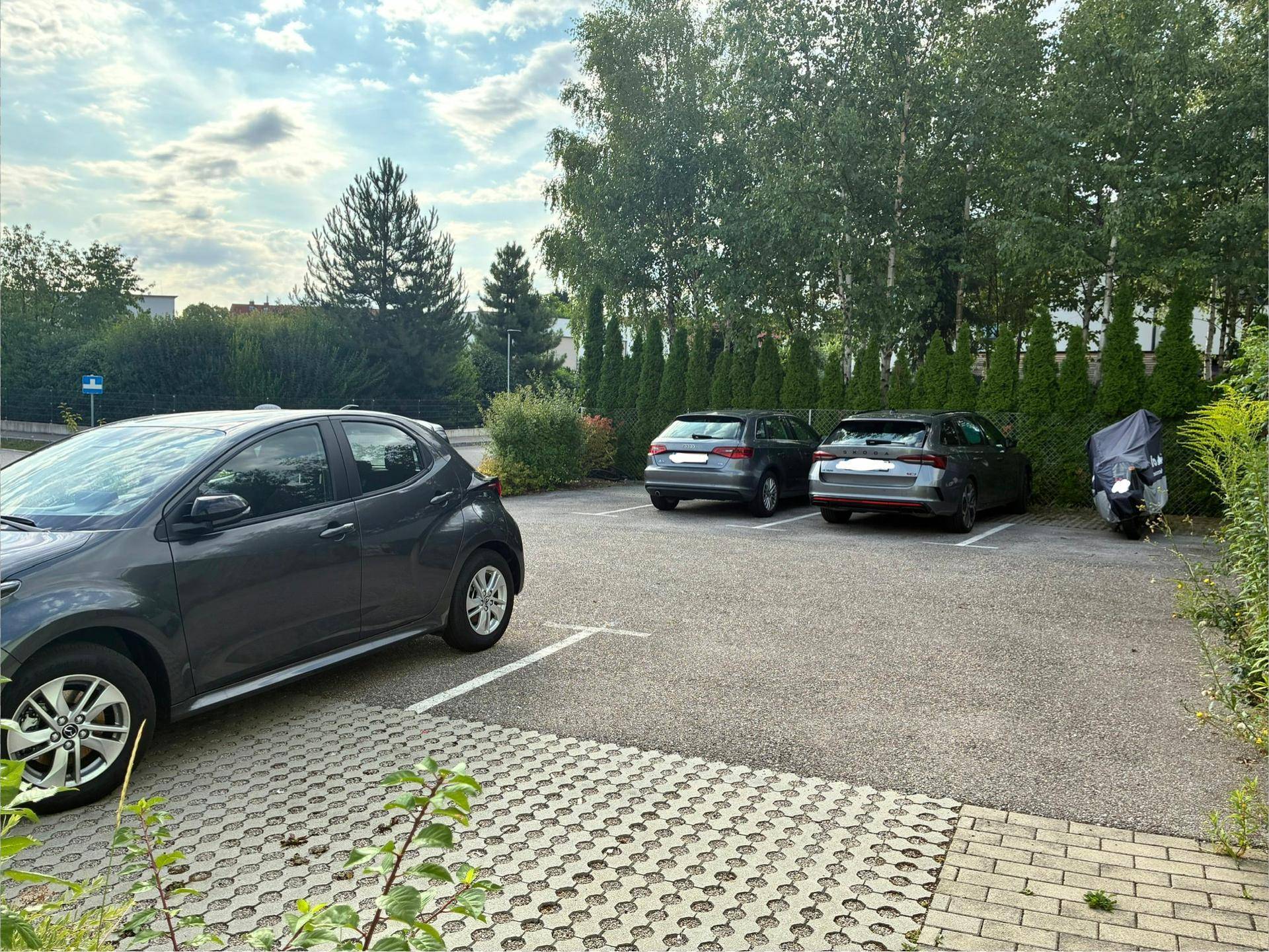 Außenparkplätze mit mehreren Fahrzeugen, umgeben von Bäumen und Sträuchern unter bewölktem Himmel.