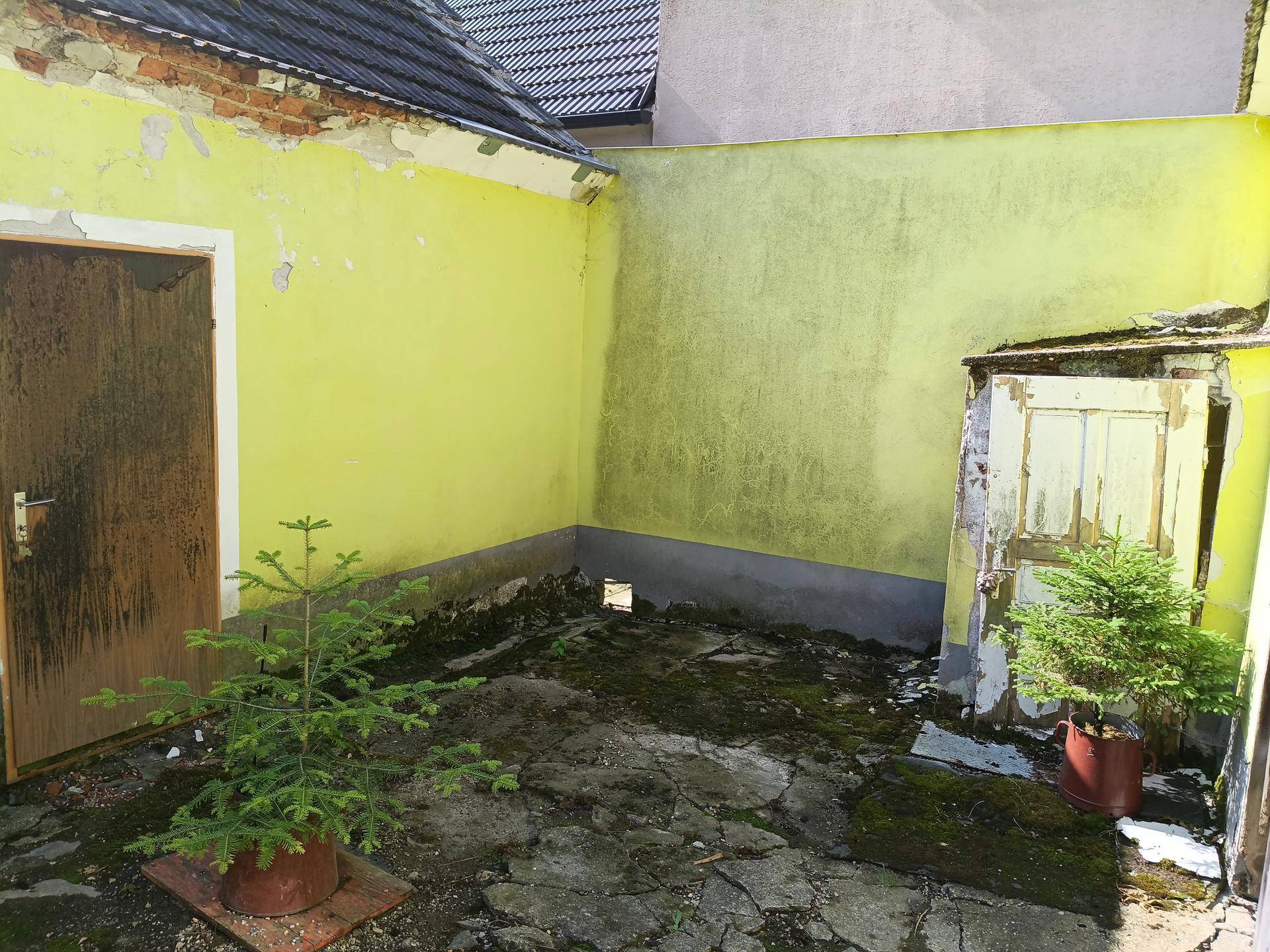 Innenhof mit gelben Wänden und einem kleinen Nadelbaum in einem Topf.