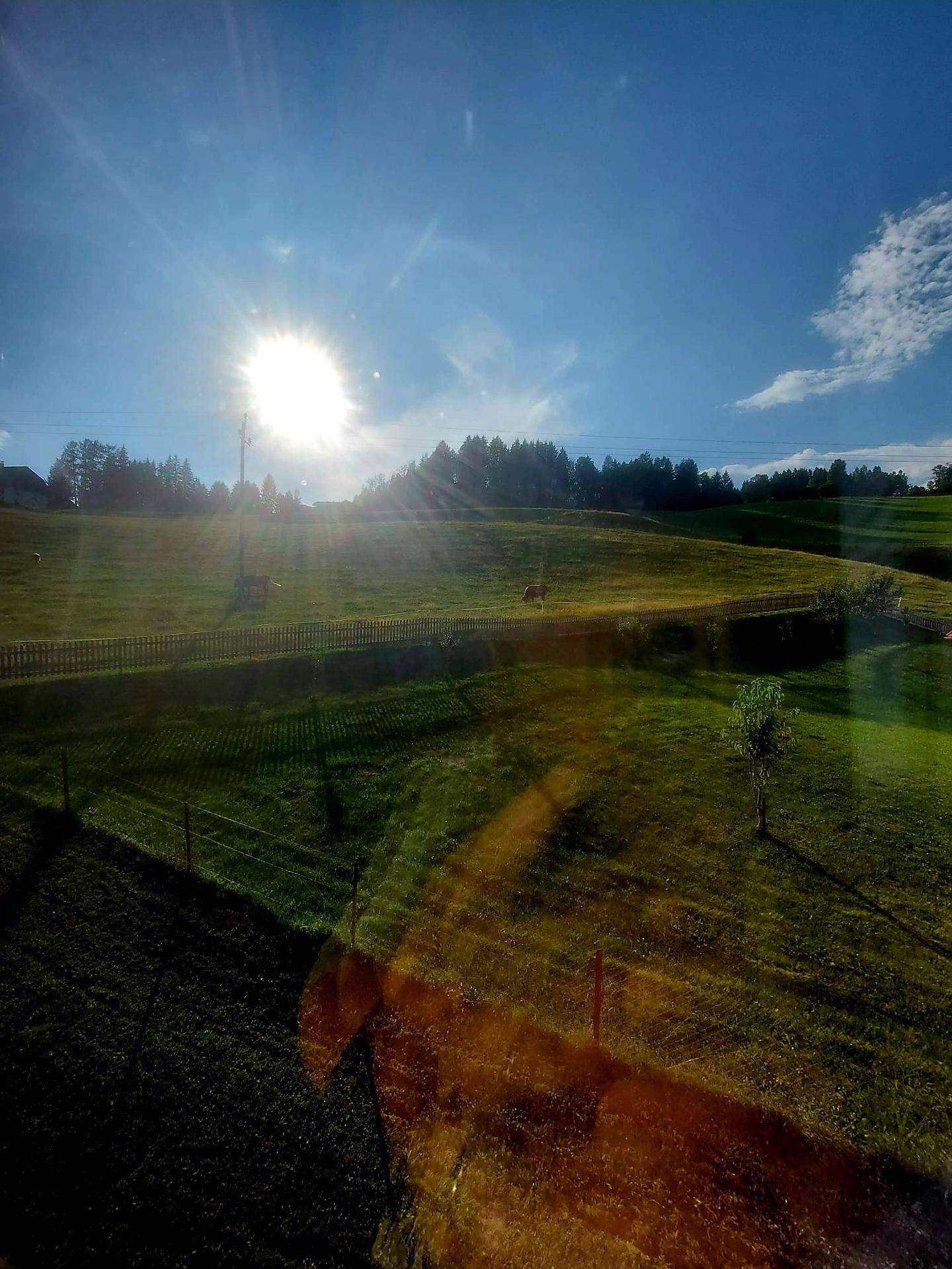 Sonnige Landschaft mit grünen Hügeln und Bäumen unter strahlend blauem Himmel.