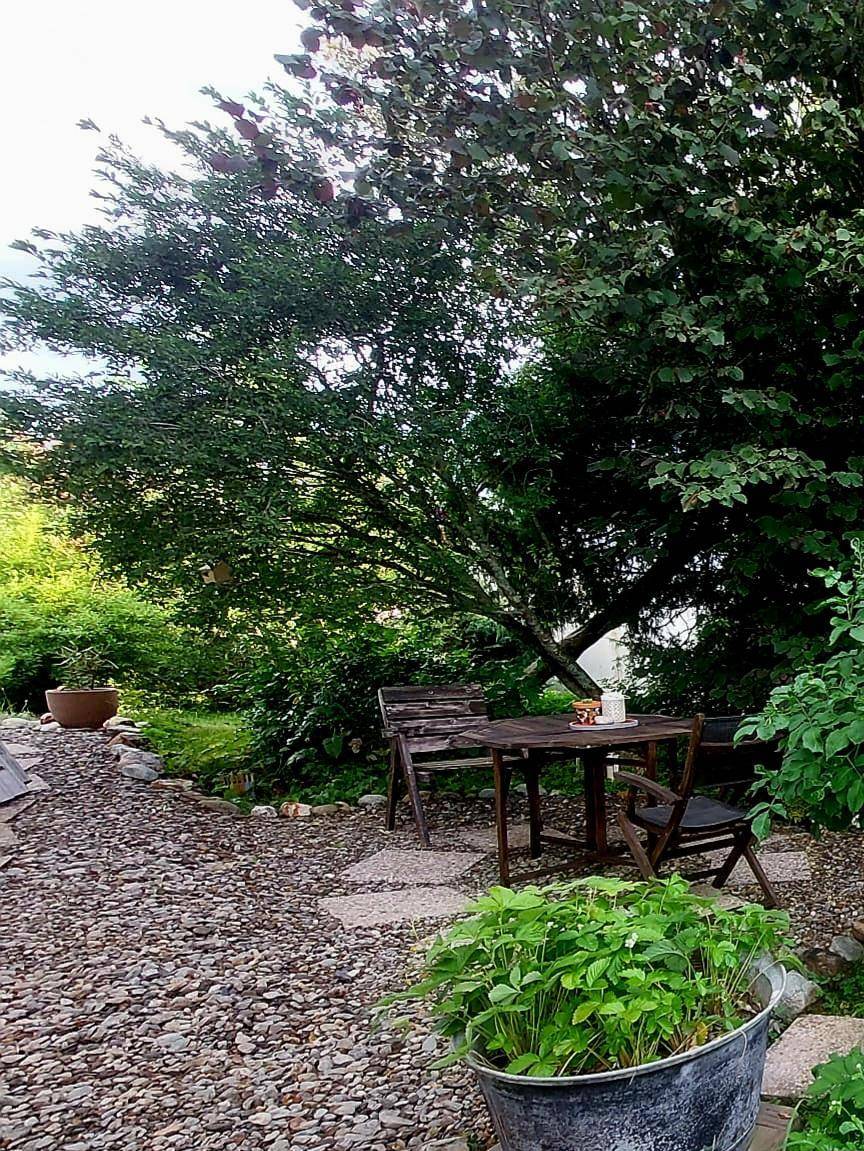 Idyllischer Gartenbereich mit Holztisch und Stühlen unter einem großen Baum, umgeben von Kies.