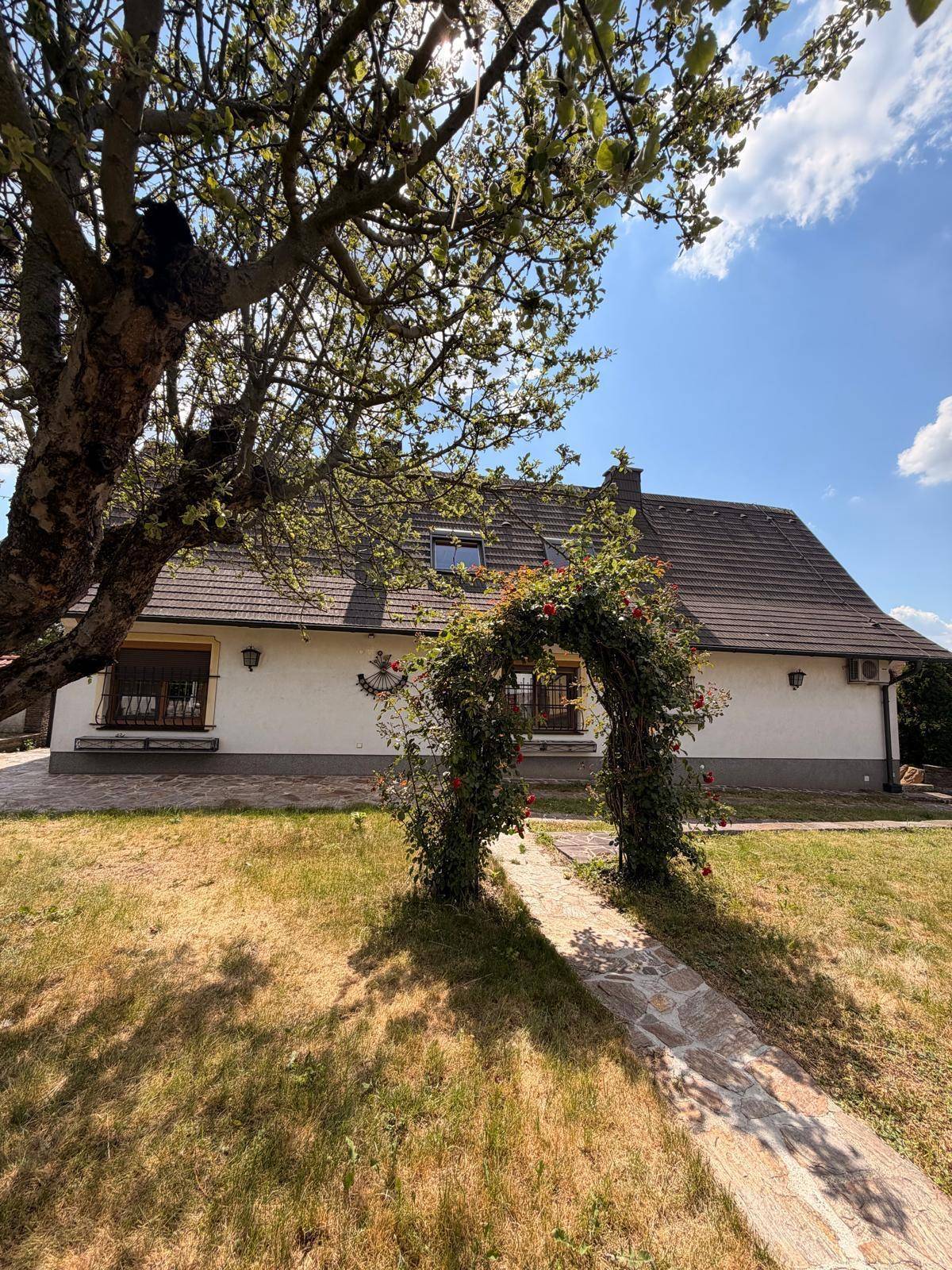 Rückansicht des Hauses mit großem Garten, altem Baum und einem Rosenbogen.