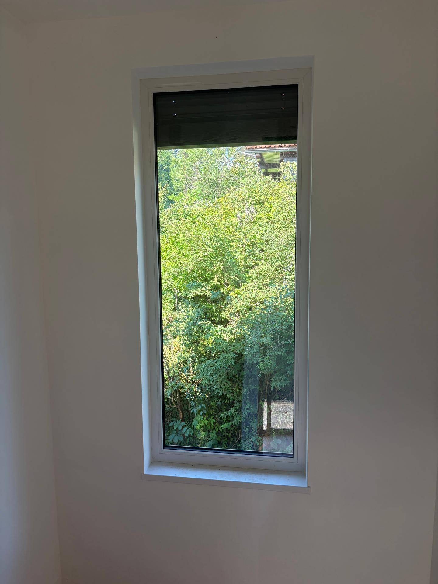 Fenster mit Blick auf üppiges Grün und Bäume, das viel Tageslicht spendet.