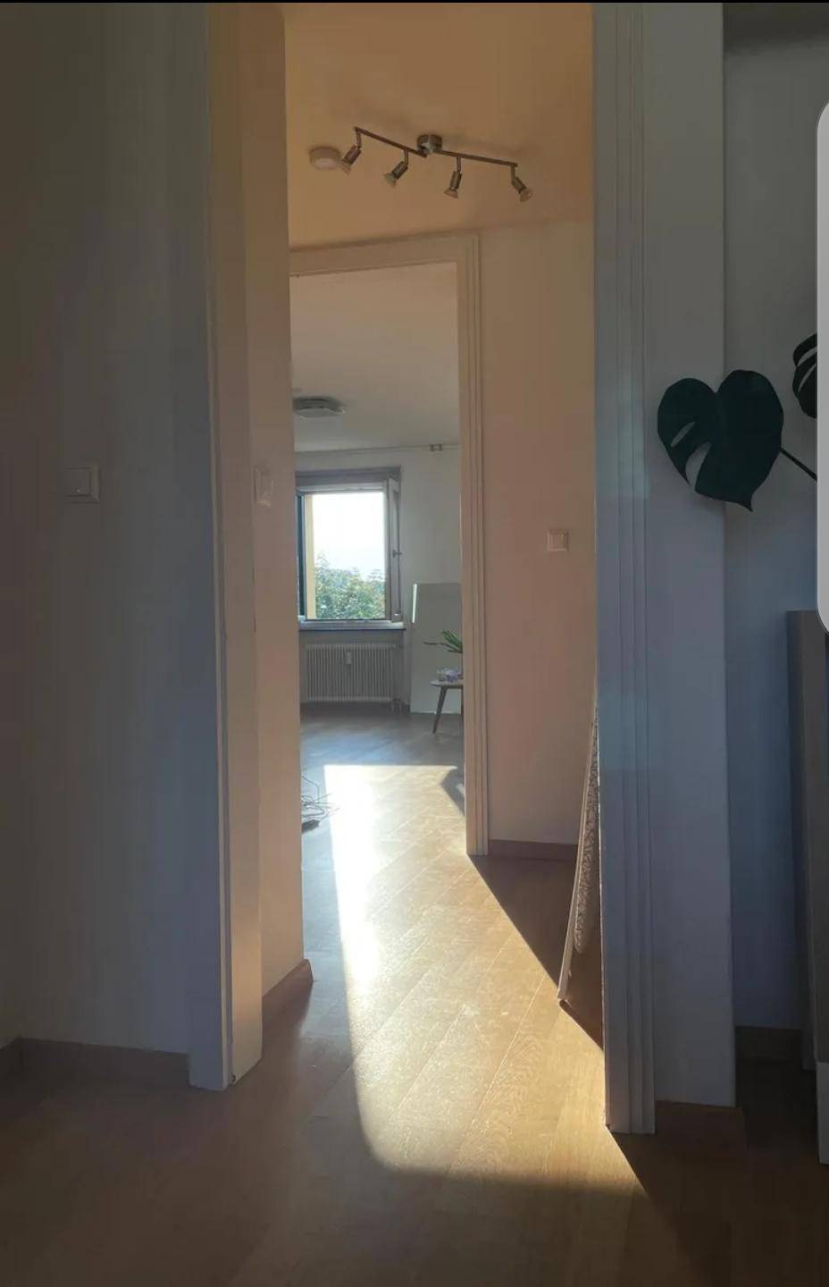 Heller Durchgang mit Holzboden, der in einen sonnigen Raum mit Fenster führt.