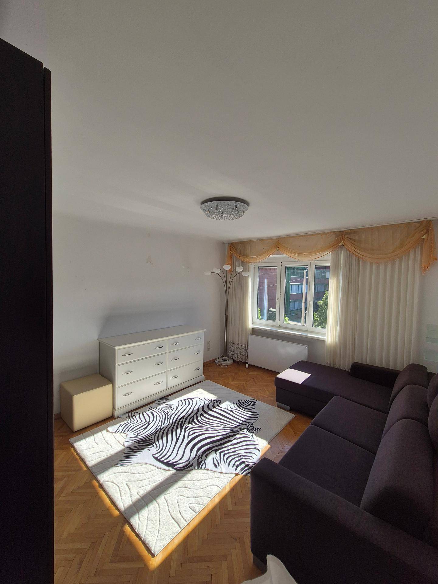 Gemütliches Wohnzimmer mit dunklem Sofa, hellem Teppich und Parkettboden.