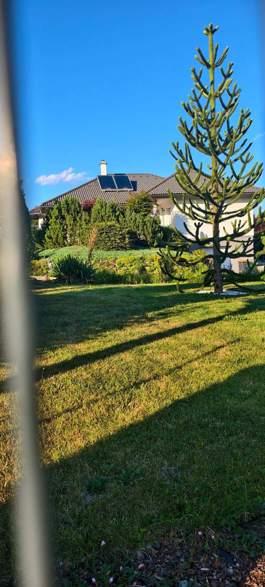 Weitläufiger Gartenbereich mit Rasenfläche und einem modernen Einfamilienhaus im Hintergrund.
