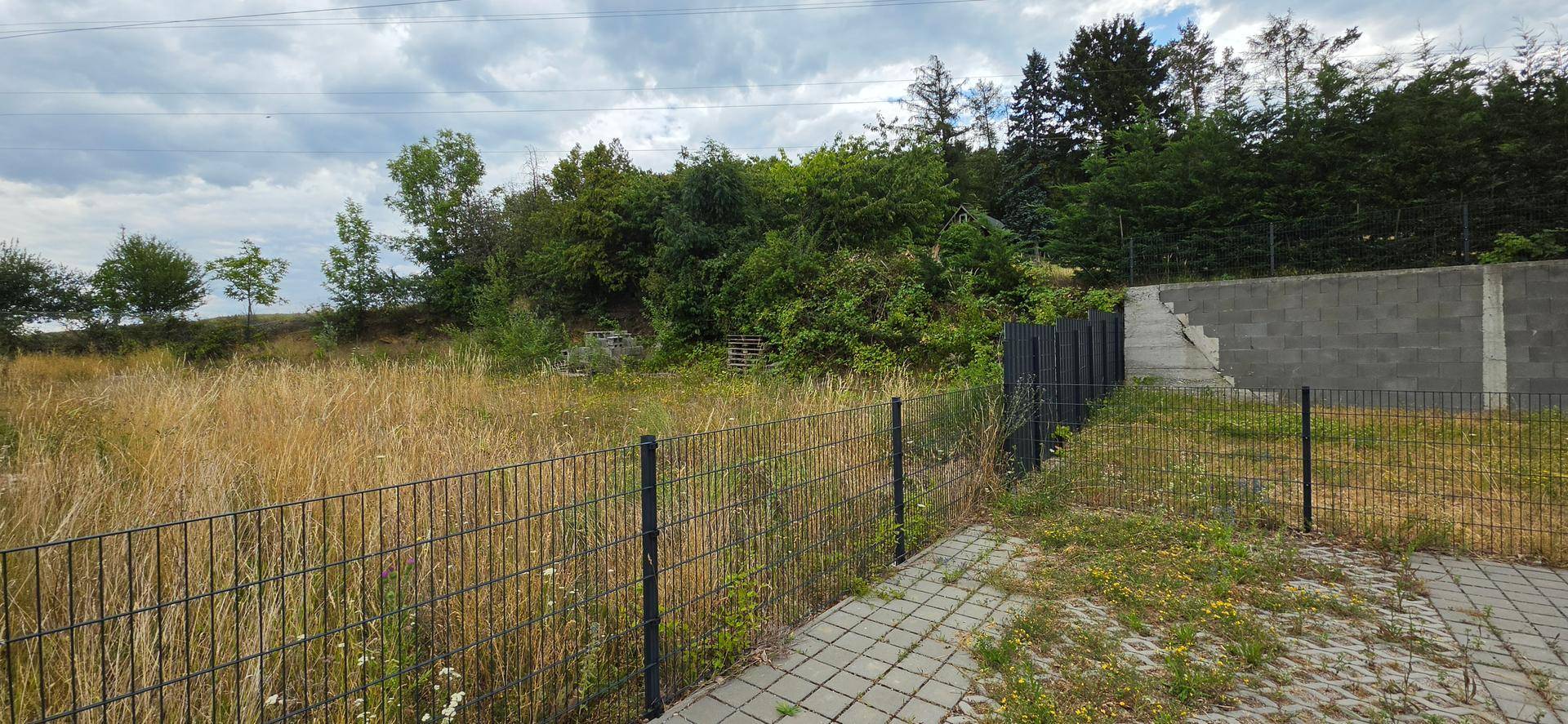 Weitläufiges unbebautes Grundstück mit hohem Gras, umgeben von Bäumen und einer Betonmauer.