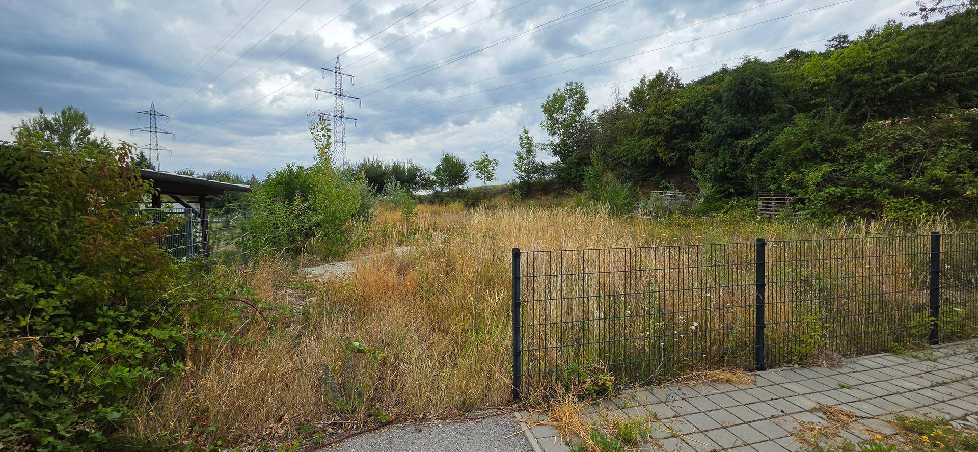 Blick auf ein unbebautes Grundstück mit hohem Gras, umgeben von einem Zaun und Stromleitungen im Hintergrund.
