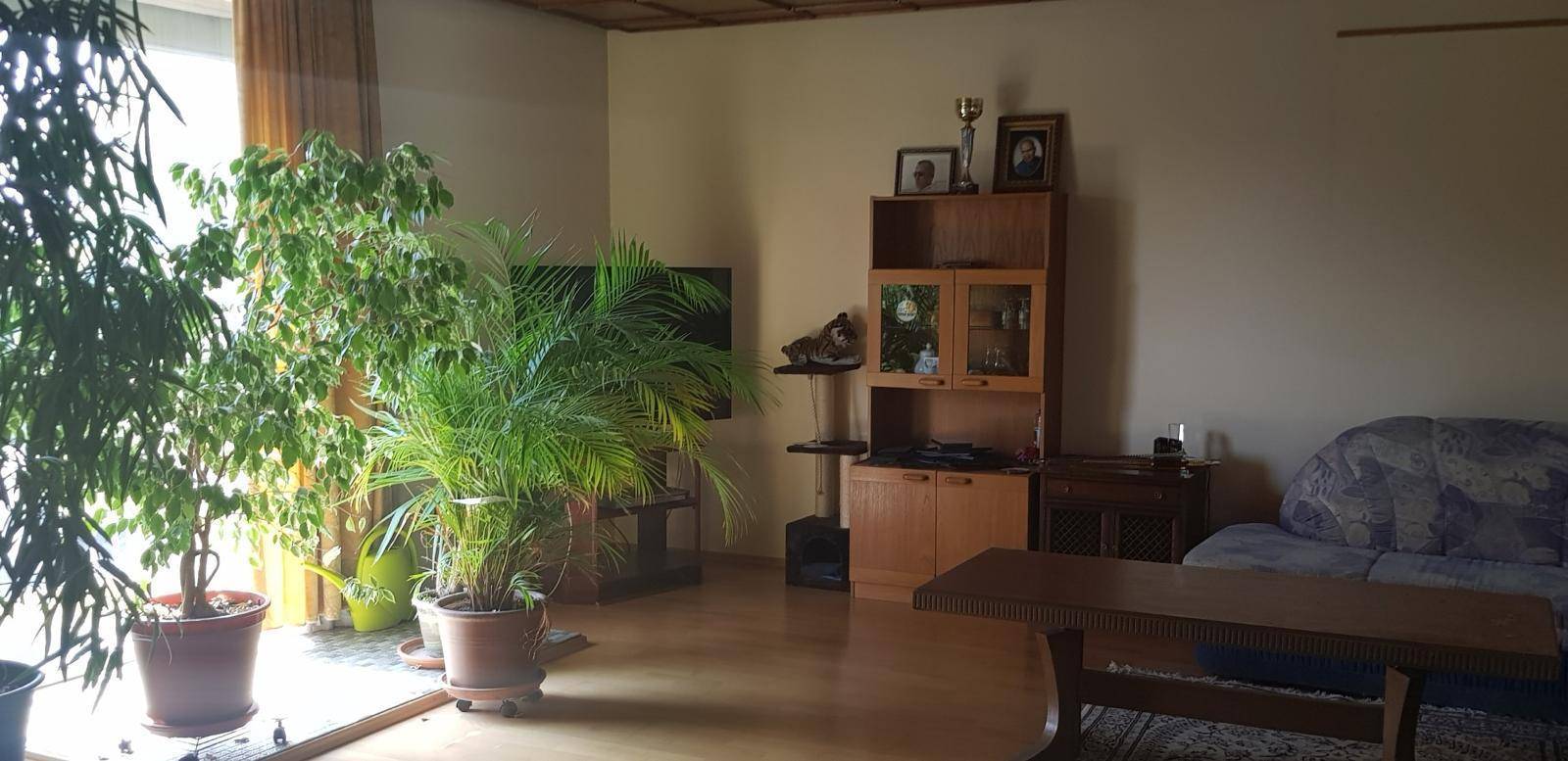Wohnzimmer mit Holzfußboden, vielen Pflanzen, einem Sofa und einem Holzschrank.