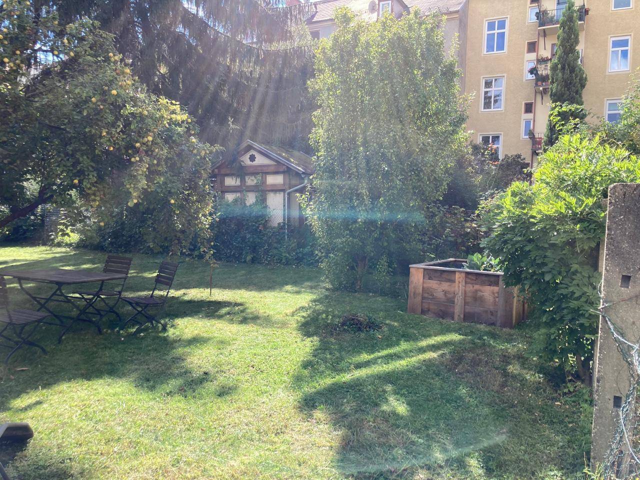 Sonniger Gartenbereich mit Rasen, einem Gartenhaus und einem Hochbeet für Pflanzen.