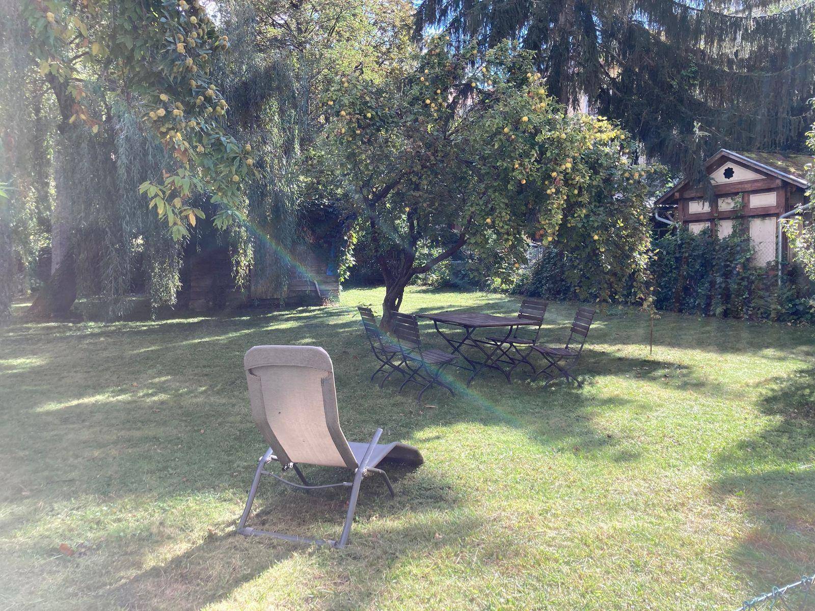 Sonnige Gartenanlage mit gepflegtem Rasen, schattenspendenden Bäumen und Sitzgelegenheiten.