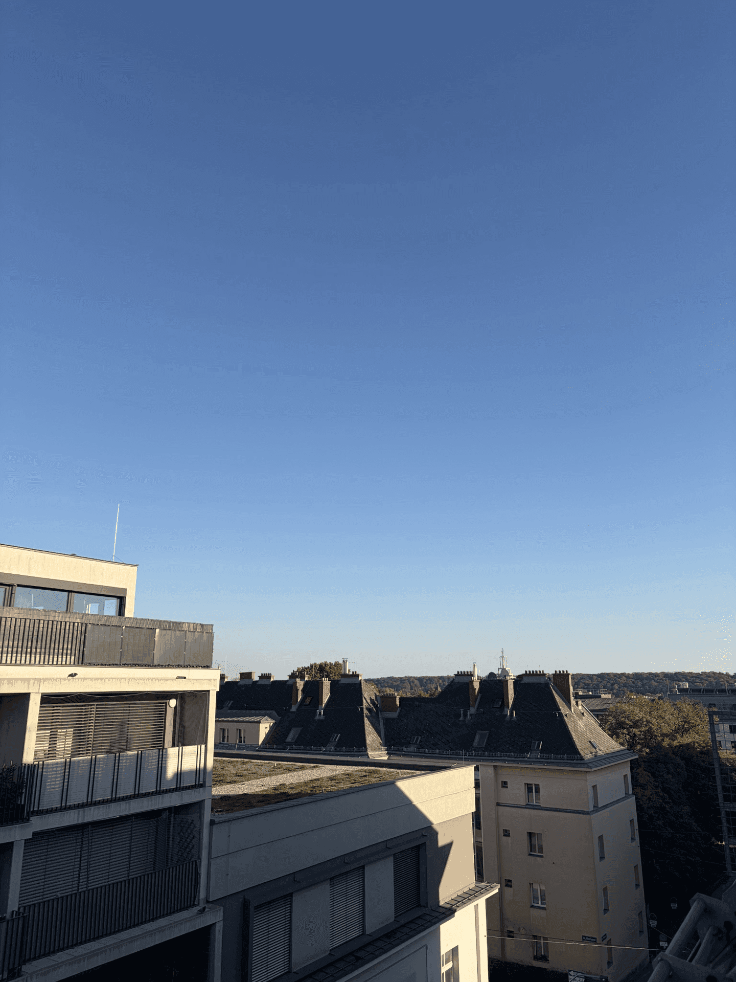 Weitblick über die Dächer der Stadt unter einem klaren blauen Himmel.