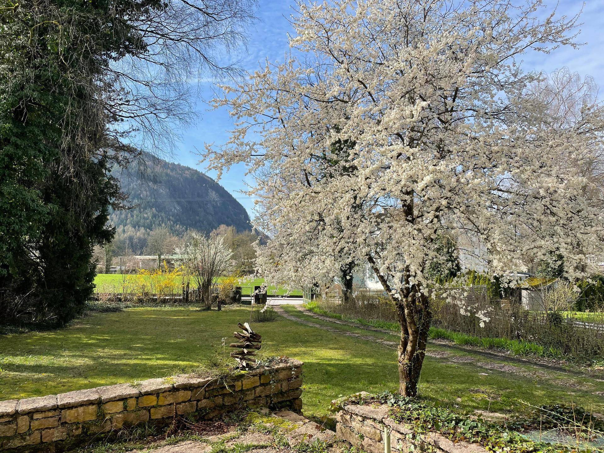 Blühender Garten mit Obstbaum, grüner Wiese und malerischem Bergblick an einem sonnigen Tag.