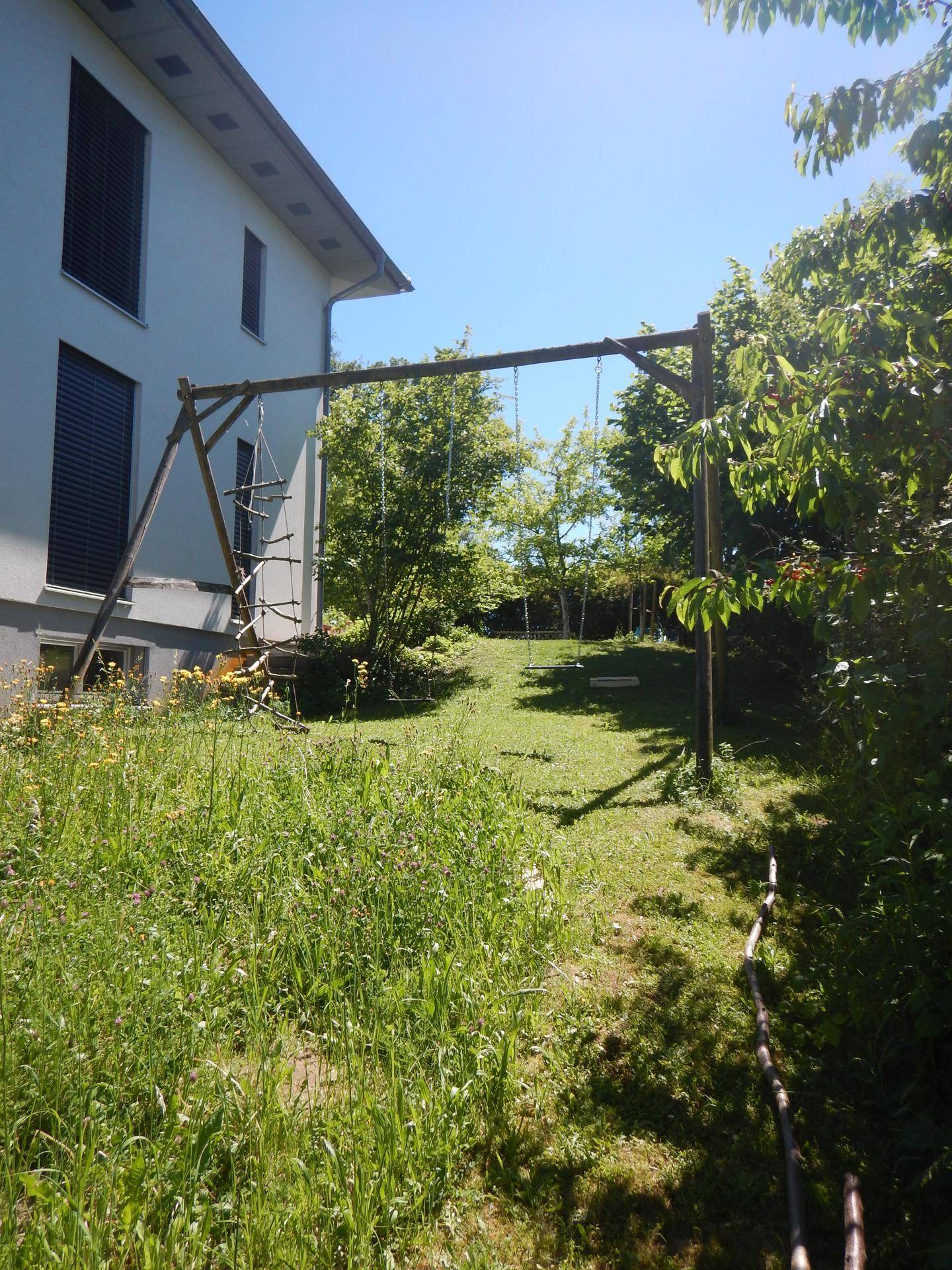 Grüner Gartenbereich neben dem Haus mit einer Holzschaukel und hohem Gras.