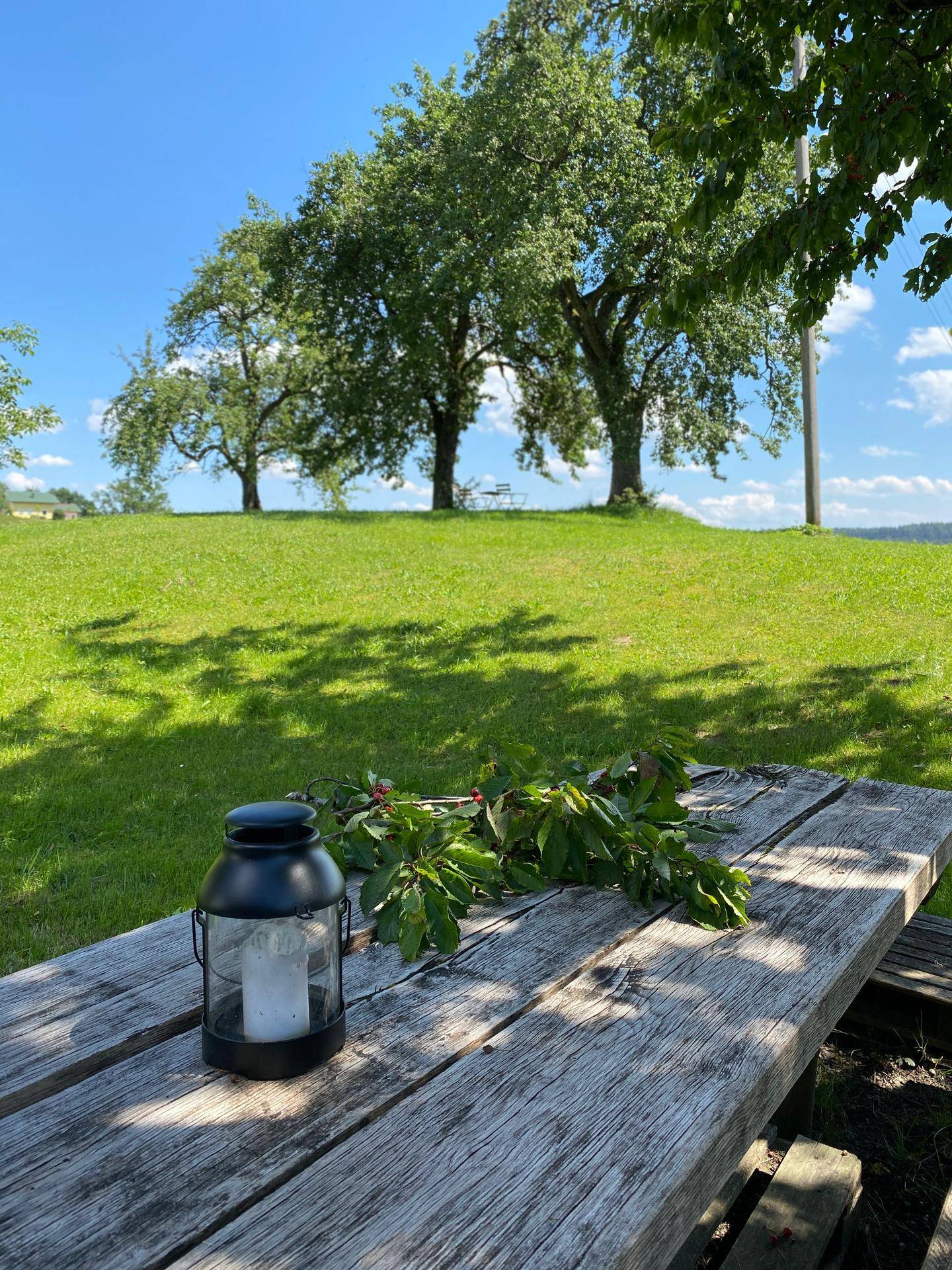 Rustikaler Holztisch im Garten mit einer Laterne und frischen Zweigen unter strahlend blauem Himmel.