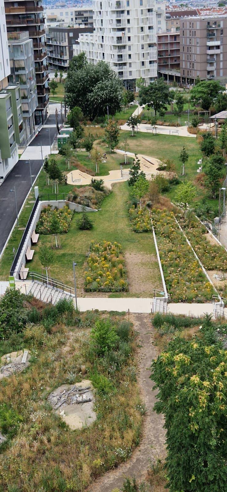 Gepflegte Grünanlage mit Wegen und Bepflanzung zwischen modernen Wohngebäuden.