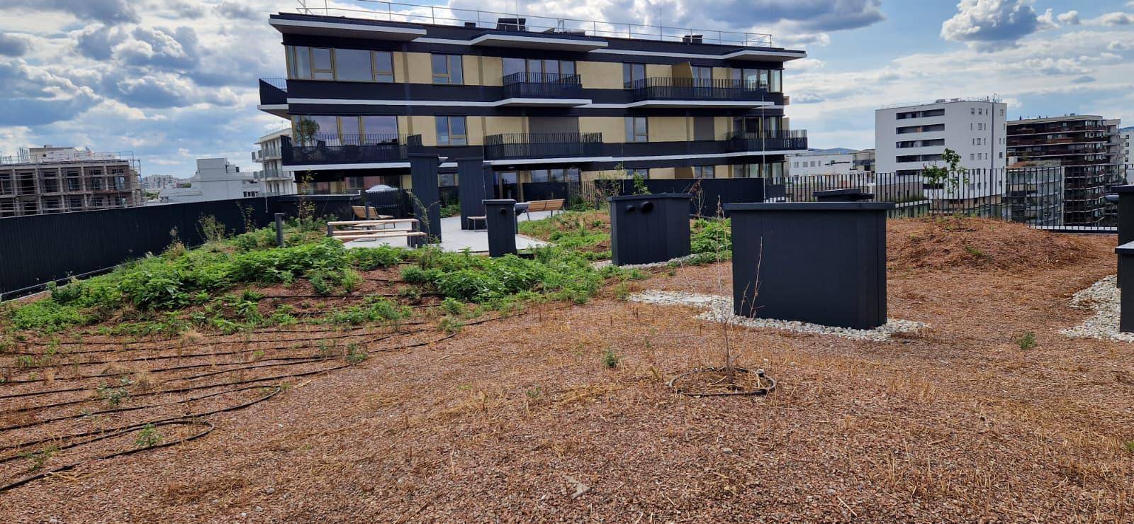 Begrünte Dachterrasse mit Blick auf die umliegenden Gebäude und den Himmel.