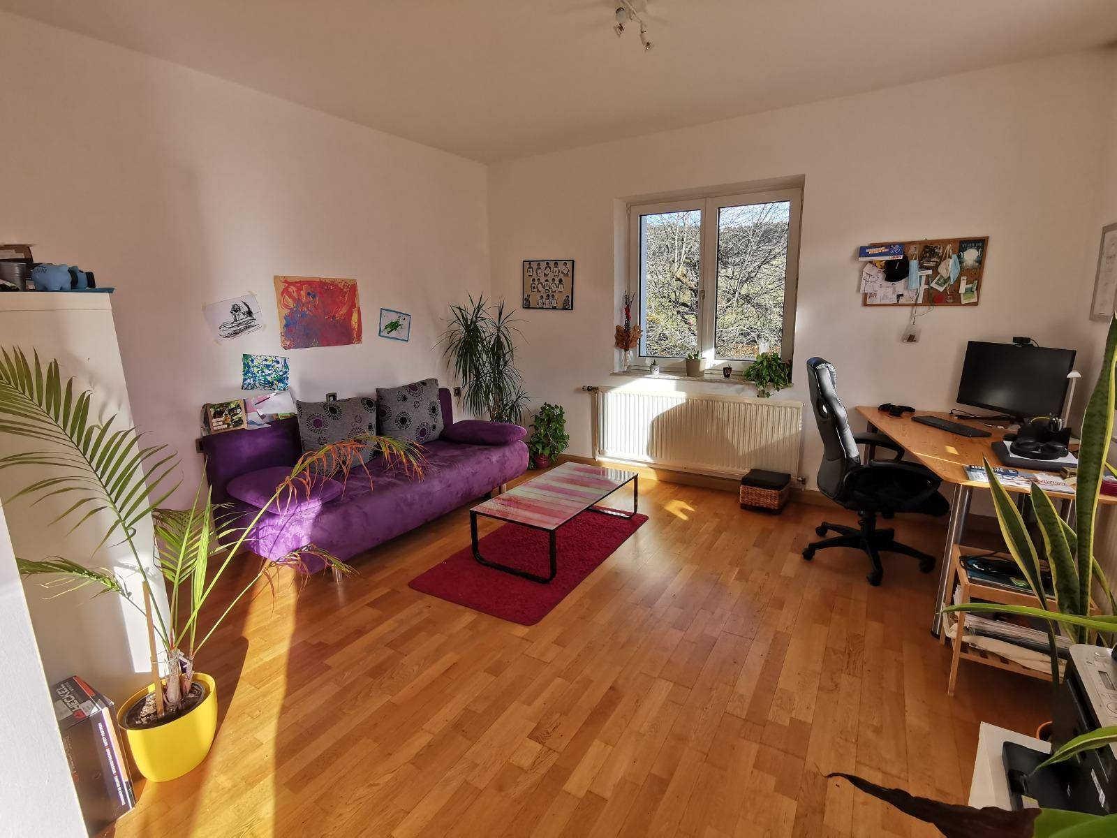 Geräumiges Arbeitszimmer mit Holzboden, lila Sofa und vielen Pflanzen.