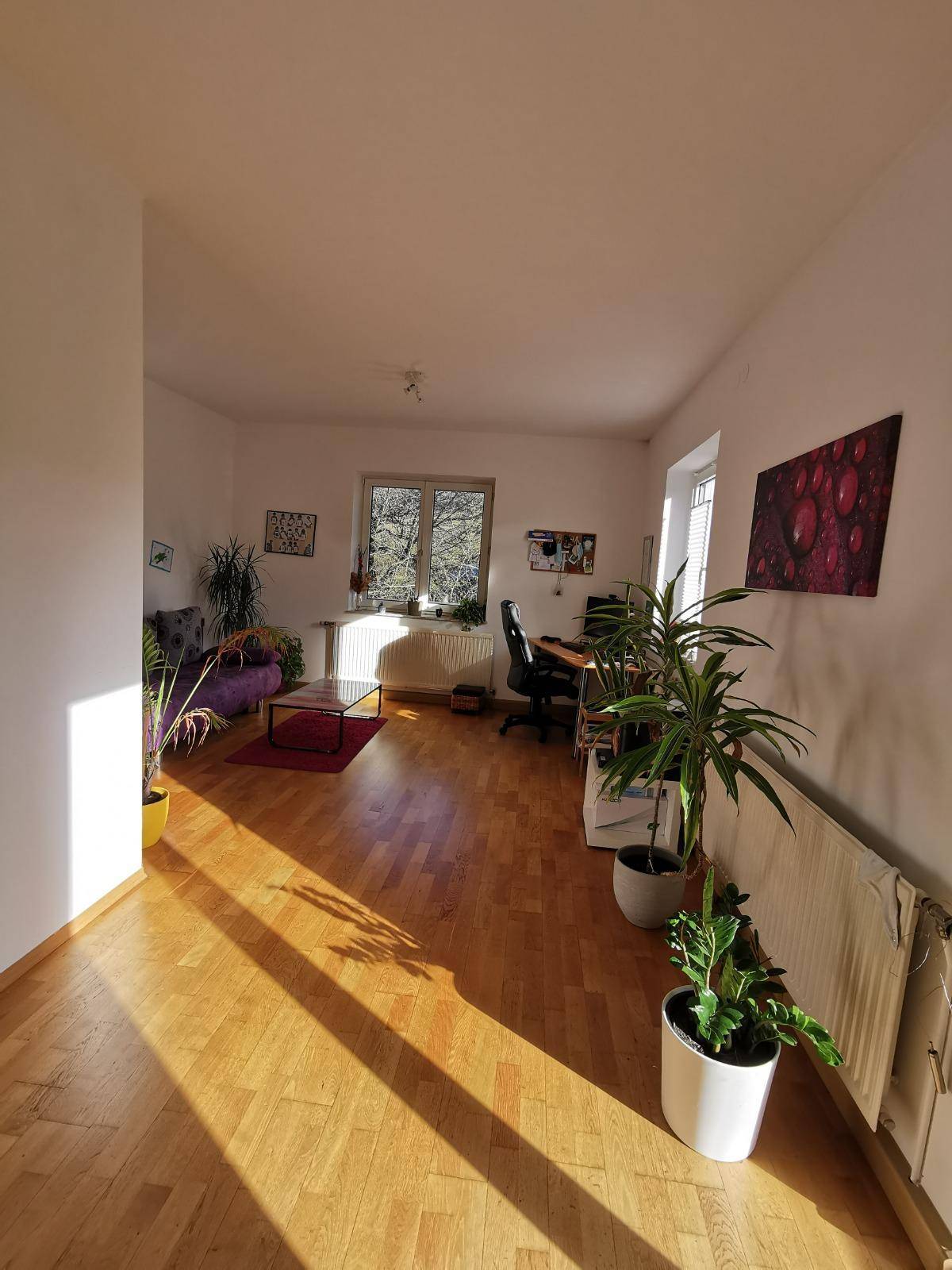 Sonnenlicht durchflutetes Arbeitszimmer mit Holzboden und Pflanzen.