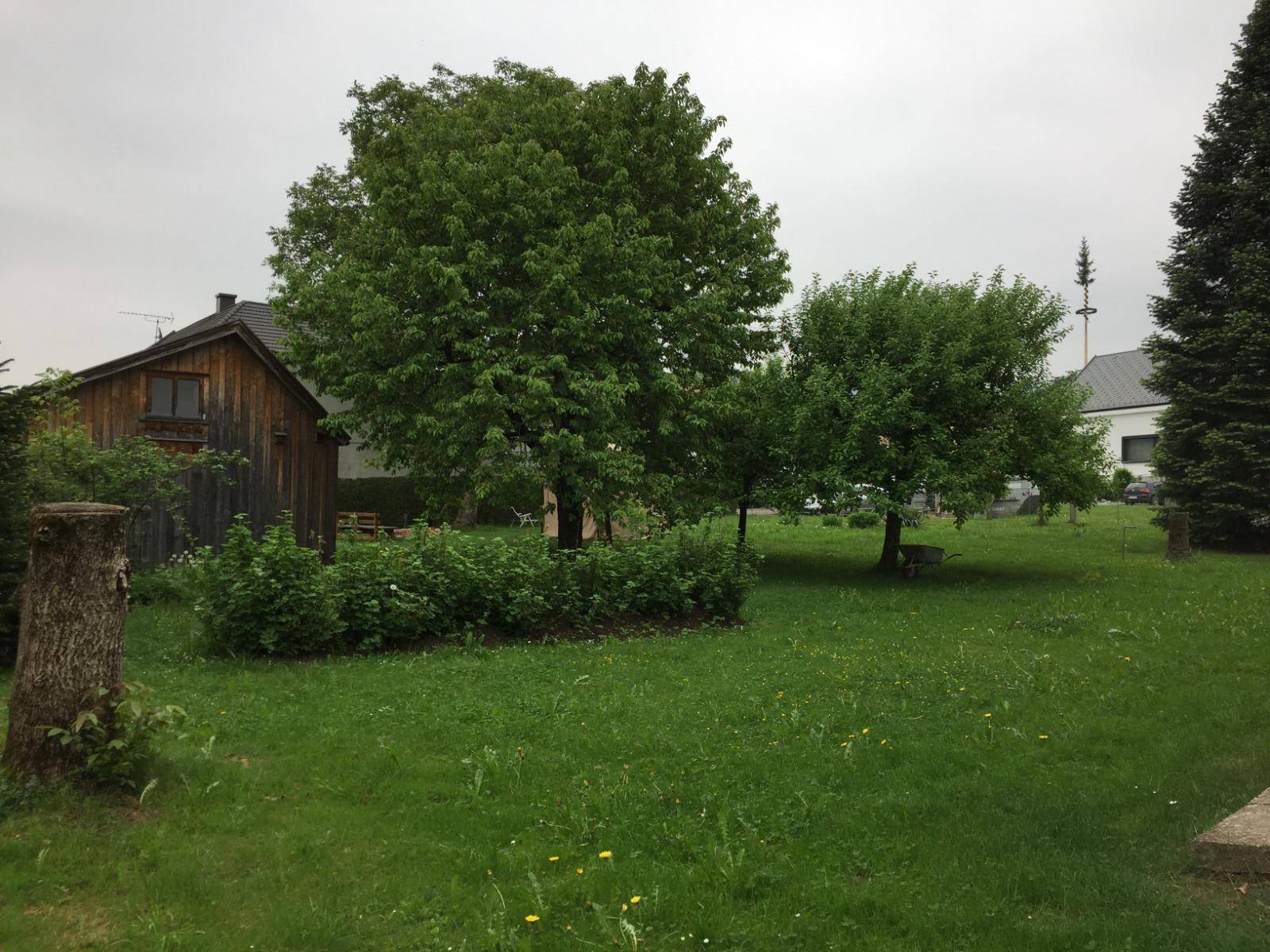 Großer grüner Garten mit Bäumen, Rasenfläche und einem Holzschuppen im Hintergrund.