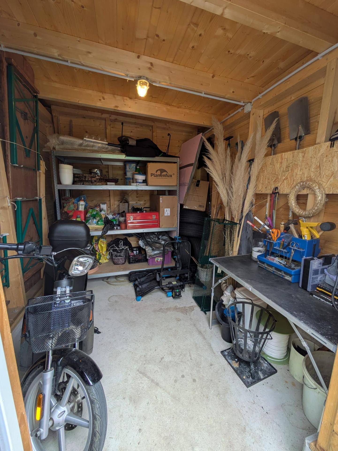 Innenansicht eines Holzschuppens mit Regalen, Werkzeugen und einem Roller.