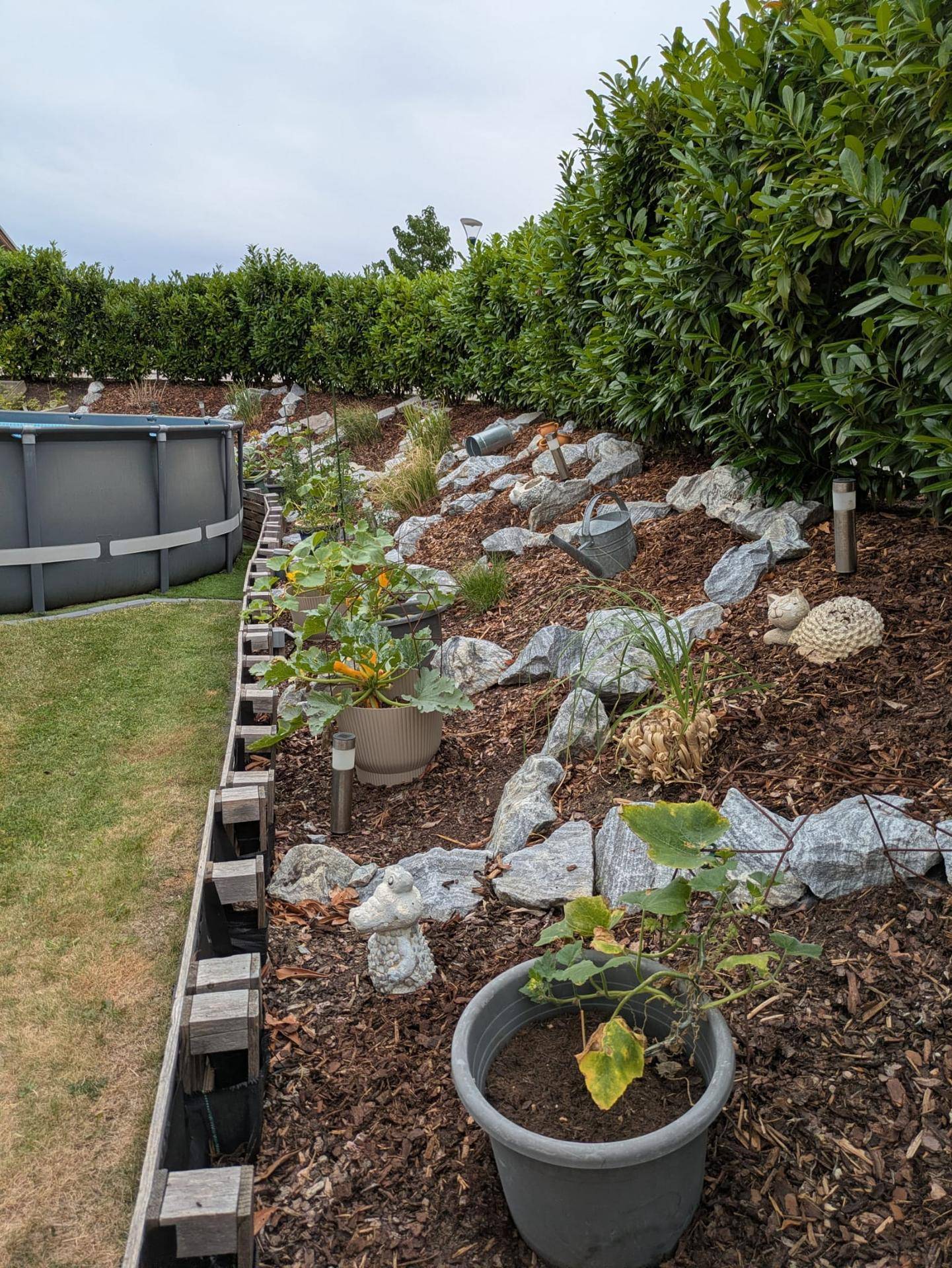 Terrassiertes Gartenbeet mit Steinen, Pflanzen und Blick auf den Pool.
