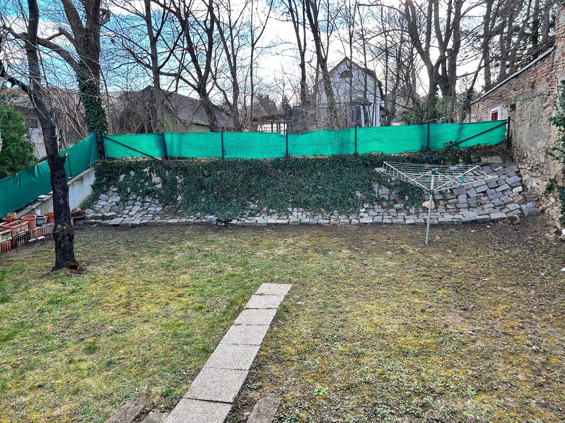 Gartenbereich mit Rasenfläche, Steinmauer und Wäscheständer unter kahlen Bäumen im Tageslicht.