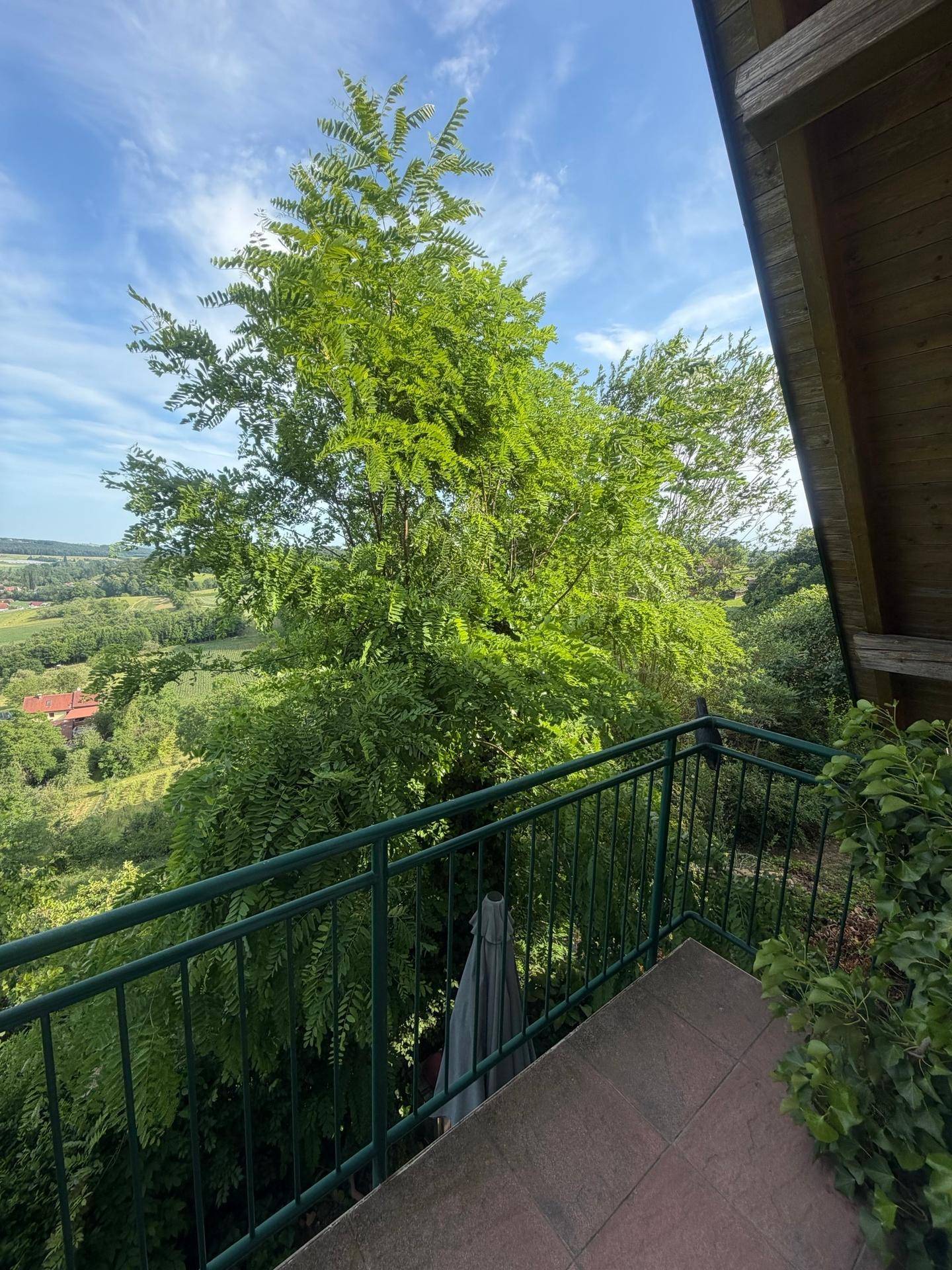 Balkon umgeben von üppigem Grün mit Blick auf die Baumwipfel und das Tal.