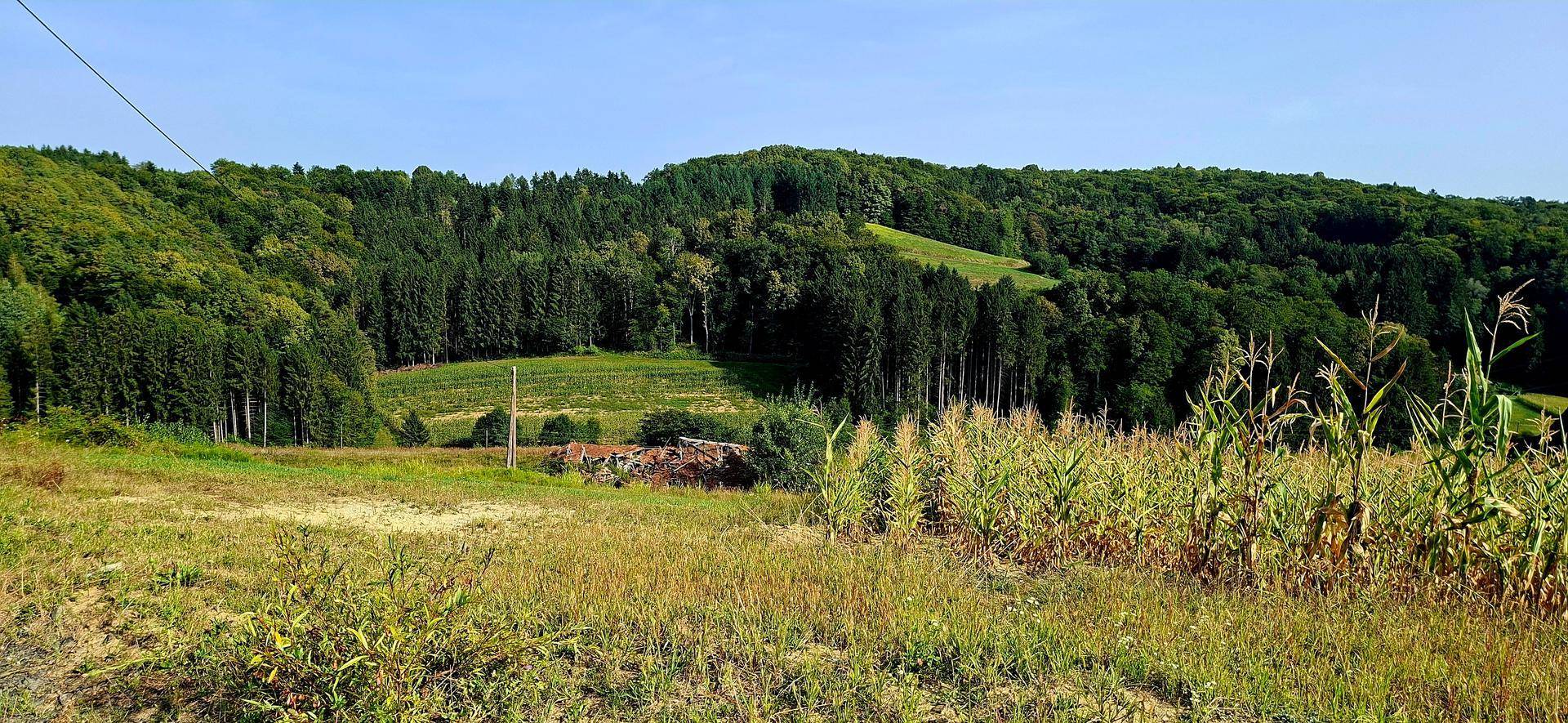 Panoramablick auf eine ländliche Landschaft mit Maisfeldern, Wäldern und Hügeln, mit einer Struktur in der Ferne.