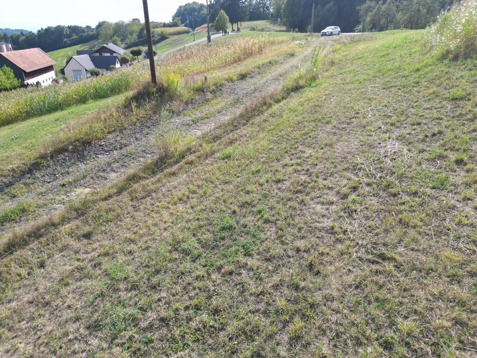 Grasbewachsener Hang mit Feldweg und Maisfeld, im Hintergrund sind Häuser und eine Straße zu sehen.