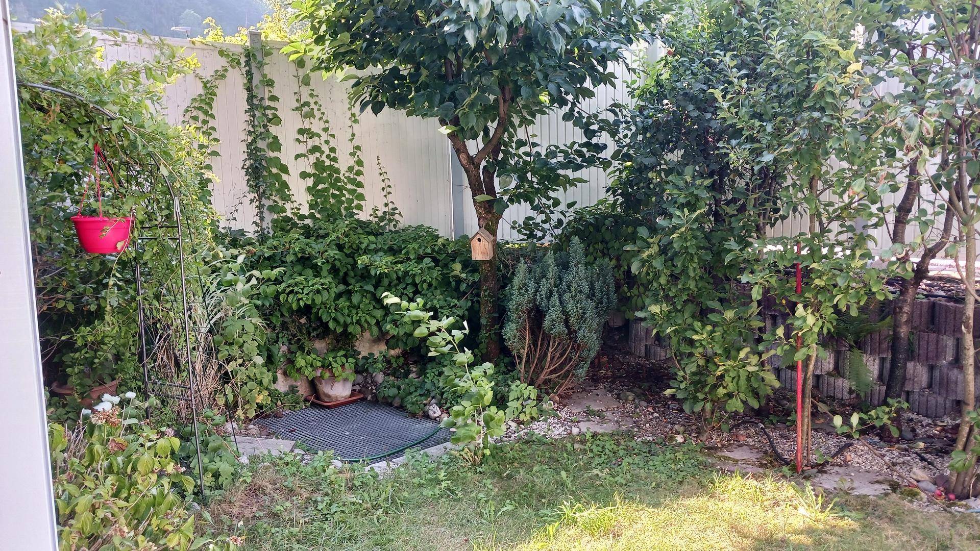 Naturbelassener Gartenbereich mit verschiedenen Pflanzen, Sträuchern und einem Vogelhaus.